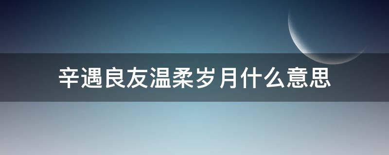 辛遇良友温柔岁月什么意思（幸遇良人 温柔岁月）