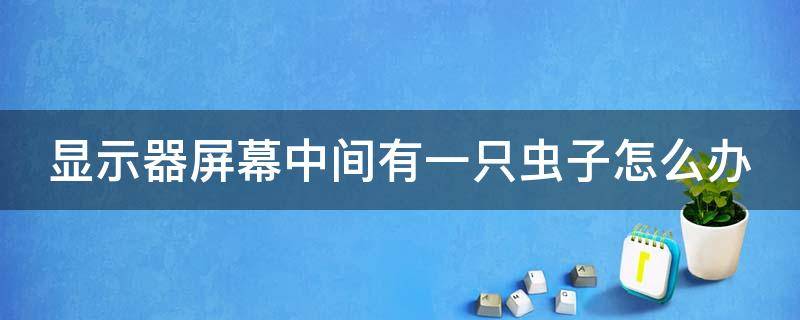 显示器屏幕中间有一只虫子怎么办（显示器屏幕中间出现一条黑线怎么办）