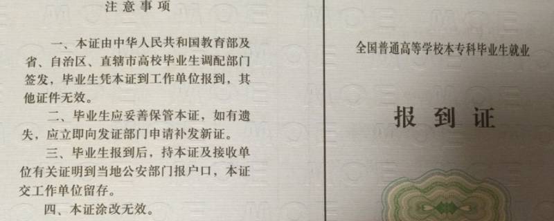 呼伦贝尔市海拉尔区人力资源和社会保障局可以取档案里面的报到证么