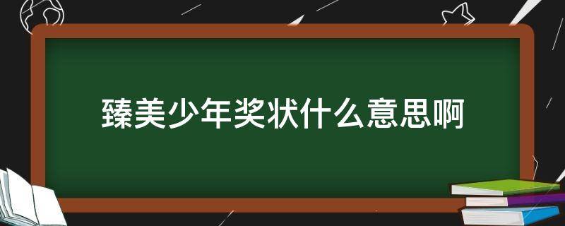 臻美少年奖状什么意思啊（品美少年奖状是什么意思）