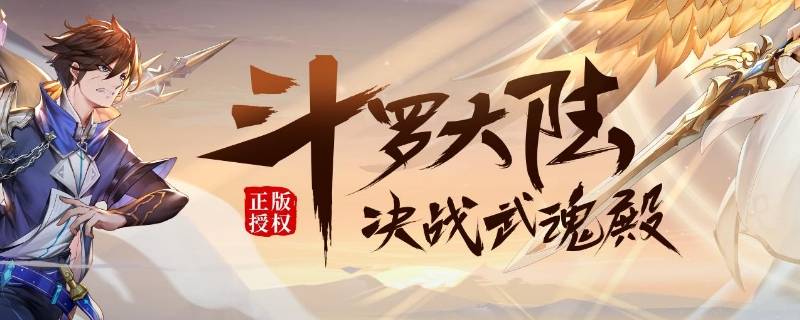 斗罗大陆魂师对决支柱怎么设置（斗罗大陆魂师对决支柱怎么设置出来）