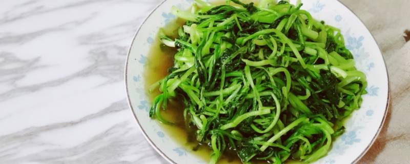 鸡毛菜怎么吃（紫色鸡毛菜怎么吃）