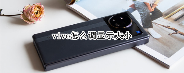 vivoxfold怎么设置显示大小（vivox60怎么设置图标大小）