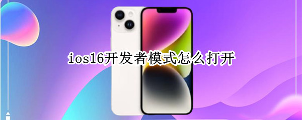 ios16开发者模式怎么打开 苹果ios16开发者模式怎么打开