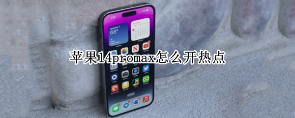 苹果14promax怎么开热点（iphone12pro max如何开热点）