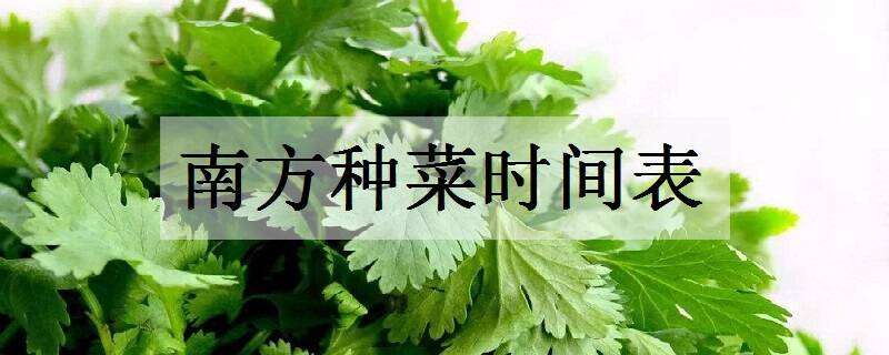 南方种菜时间表（南方种菜时间表十二月份）