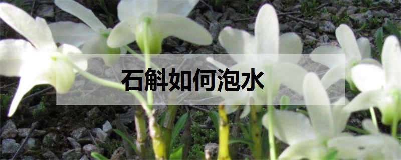 石斛如何泡水（石斛如何泡水喝及功效）