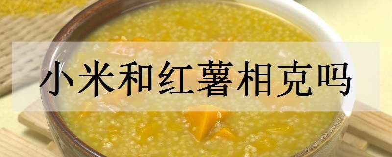 小米和红薯相克吗（小米和红薯相克的食物）