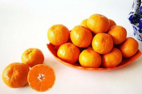 目前最好吃的4个柑橘品种 哪个口感最好