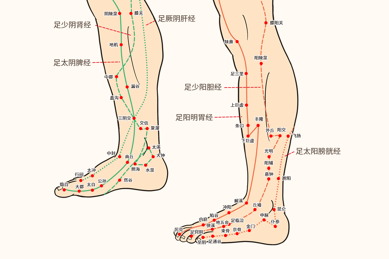 足部经络图解 足部经络图解高清大图