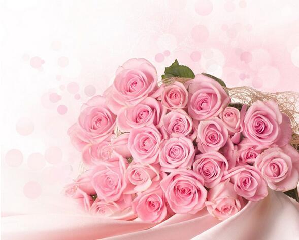 粉玫瑰花语是什么 粉玫瑰花语是什么意思19朵