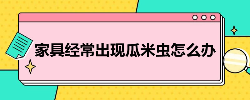 家具经常出现瓜米虫怎么办（家具周围出现许多小虫）