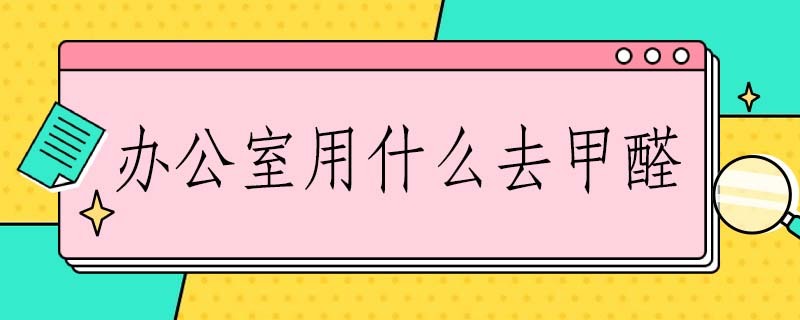 办公室用什么去甲醛 办公室怎么防甲醛