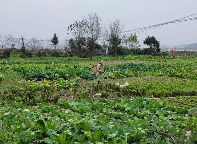 故乡里的中国｜即将沉入水下的故乡 人民故乡水下一句