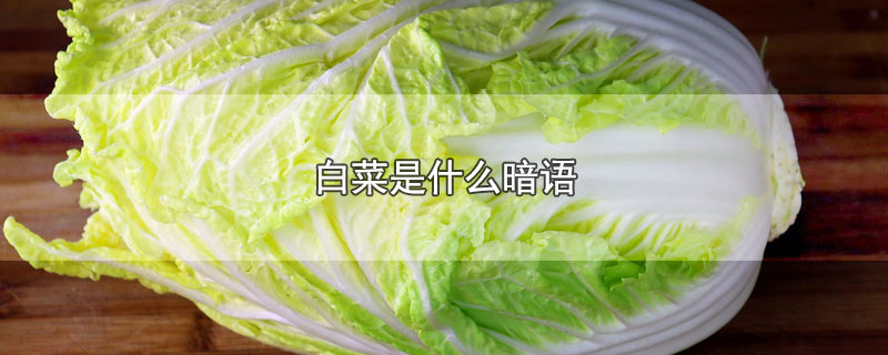 白菜是什么暗语（白菜是什么意思网络用语）